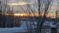 Early winter sunrise through frosted tree branches