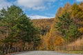 Bandai Azuma skyline road trip in autumn season.