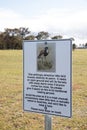 Banded Lapwing Breeding information open space Treendale