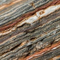 The banded pattern indicates a foliated structure typical of rocks like gneiss Royalty Free Stock Photo