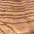 Banded sandstone Royalty Free Stock Photo