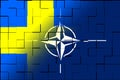 NATO-OTAN. Sweden. NATO flag. Swedish flag. Flag with the NATO logo. Concept of annexation of Sweden with NATO-OTAN. Foreground. Royalty Free Stock Photo