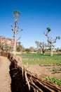 The Bandiagara Escarpment, Mali (Africa).