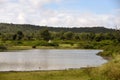 Bandipur National forest Royalty Free Stock Photo