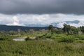 Bandipur National forest Royalty Free Stock Photo