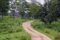 Bandipur National forest Royalty Free Stock Photo