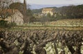 Vines, vineyards, and estates in the Bandol appellation of the wine region in Provence, France.