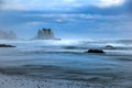 Bandon Beach Seagull Royalty Free Stock Photo