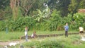 A number of children are playing kites