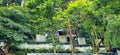 Light brick walls that follow the constitutional condition of the land in a nature tourism park surrounded by trees.