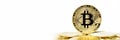 Baner Bitcoin Cryptocurrency , panorama gold coins , mining , future money