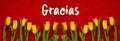 Baner Of Yellow Tulip Flowers, Red Background, Gracias Means Thank You