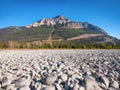 Banff National Park, Alberta, Canada. Landscape at the day time. Round rocks on the riverbank. Mountains and forest.