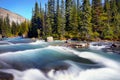 Canadian National Parks in Alberta Royalty Free Stock Photo