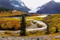 Canadian National Parks in Alberta Royalty Free Stock Photo