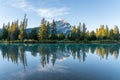 Banff National Park beautiful scenery. Cascade Mountain and pine trees reflected on turquoise color Bow River in summer time Royalty Free Stock Photo