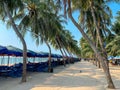 Bang saen Beach, Chonburi, Thailand Royalty Free Stock Photo