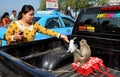 Bang Saen, Thailand: Thai Woman Feeding Monkey
