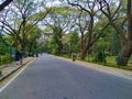 Closeup of beautiful Cubbon Park asphalt roads with traffic sign and symbols pole