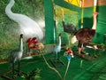 Closeup of beautiful robotic birds and big wheel amusement park near the Kamakshipalya Ground Royalty Free Stock Photo