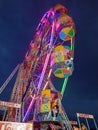 Closeup of beautiful robotic birds and big wheel amusement park near the Kamakshipalya Ground Royalty Free Stock Photo