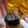 Bangkok Alms Ceremony