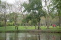 Bangkok-Benchakiti Park, Suan Pa Benjakitti, is a large park Royalty Free Stock Photo