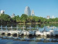 Bangkok cityscape lumpini park lake view with a row of Swan Pedal Boats Royalty Free Stock Photo