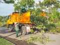 BANGKOK - OCT 13 the worker man and women working to cut and move tree after cut down, Oct 13, 2015, Bangkok, Thailand