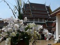 Bangkok Temple Rooftops in Thailand