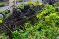 Bangkok,Thailand-01 APR 2018: Chaotic taggled mess of the electric power lines in Bangkok