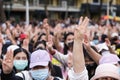 Protesters a three finger salute to show symbolic gestures.