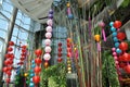 Bangkok, Thailand: Chinese Lanterns