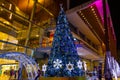 Bangkok Thailand , December 12, 2016 :- Merry - Xmas - Christmas tree in the garden at Department store At night. Xmas tree