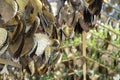 Golden hearts written with wishes hang on the tree in Wat Saket, Bangkok