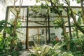 BANGKOK, THAILAND - JANUARY 22, 2017: A glass house near green t Royalty Free Stock Photo