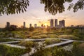 BANGKOK, THAILAND January 03rd, 2024 : Cityscape at sunset in Benchakitti forest park, Benchakitti Forest Park is new landmark