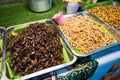 Fried Insects (crickets, locusts, Worms Molitors and Silkworm Pupa) on a vendor stall, street food of Thailand