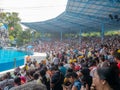 BANGKOK,THAILAND - JUNE 16,2018:The Dolphins show at Safari world.The most intelligent skill and tricks show.Safari World is the b