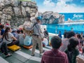BANGKOK,THAILAND - JUNE 16,2018:The Dolphins show at Safari world.The most intelligent skill and tricks show.Safari World is the b