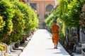 Bangkok, Thailand - March 2019: buddhist monk walking along the alley towards Golden Buddha Temple Royalty Free Stock Photo