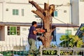 Cutting a large tree with electric wood sawing machine in the city by a professional tree cutting