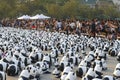 Bangkok, Thailand - March 4th, 2016:Exhibition of the 1,600 paper mache panda sculptures World Tour Exhibition at Royal Plaza
