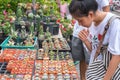 Girl buys a houseplant at market