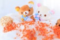 Bangkok, Thailand - November 24, 2018: Cute Rillukkuma Baby Bear Couple Holding Milk Bottle Dolls with decorating beads on white