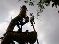 A dragon on a pole by several boys fights with a man on a bamboo in a Festival of the Clans of the Chinese community of Bangkok