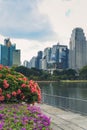 Bangkok, Thailand - 5 November 2023: skyscrappers in Bangkok city, Lumphini Park.