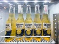 Corona Extra beer on shelves in a supermarket Royalty Free Stock Photo