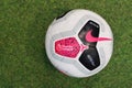 Nike Merlin The Official English Premier League Match Ball on the Grass