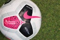 Nike Merlin The Official English Premier League Match Ball on the Grass